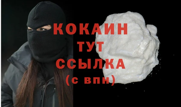сатива Баксан