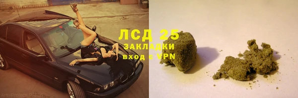 сатива Баксан