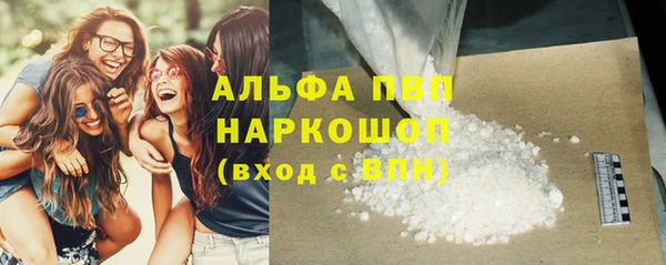 сатива Баксан