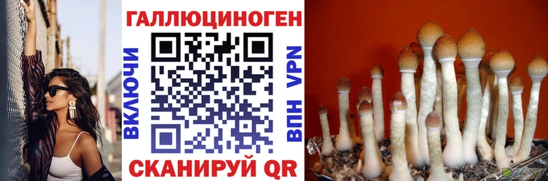 Галлюциногенные грибы GOLDEN TEACHER  Ярцево 